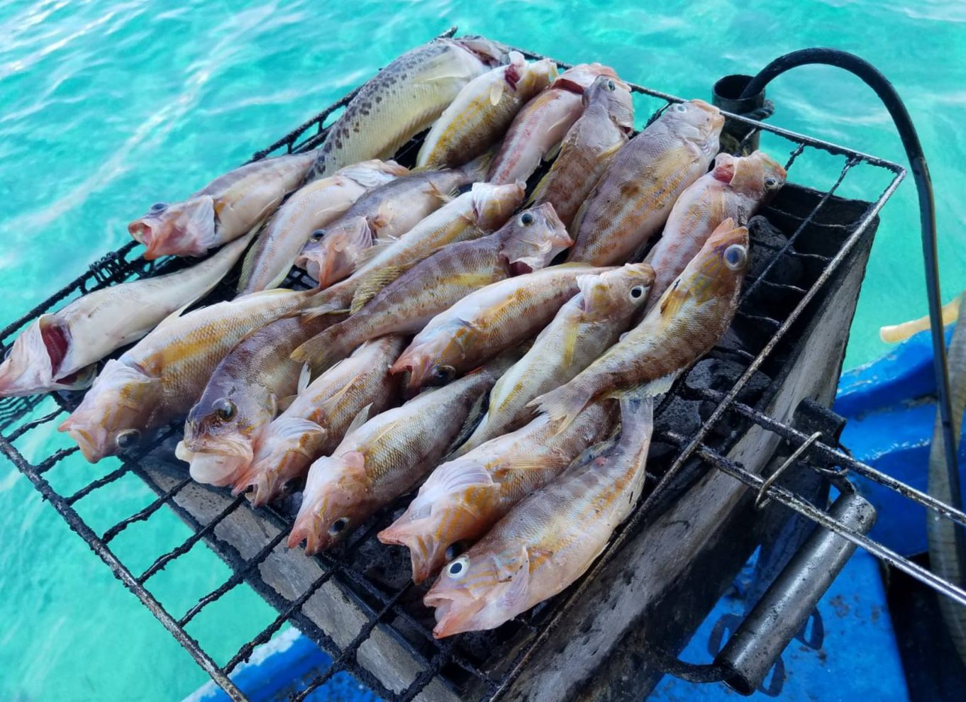 Rhodos by: Fiskebådstur med fiskemåltid og svømmestop