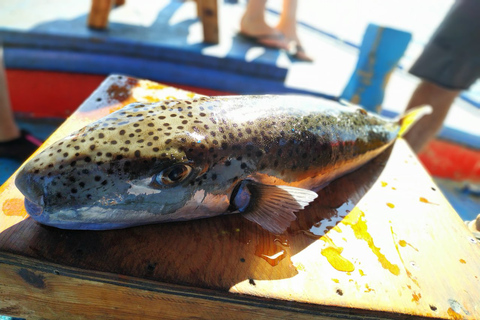 Rhodes Town: Fishing Boat Trip with Fish Meal and Swim Stops Makarounas fishing trips