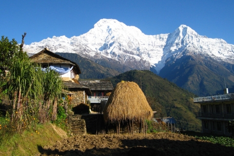 Z Pokhary: 3-dniowy trekking do Ghorepani Poonhill