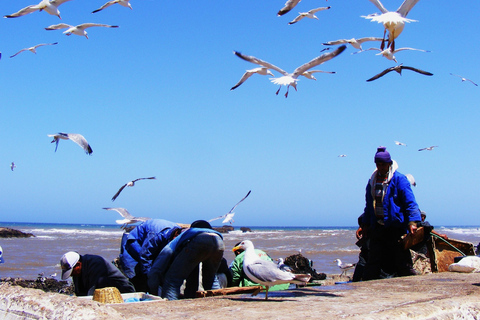 Essaouira Full Day Trip : From Marrakech