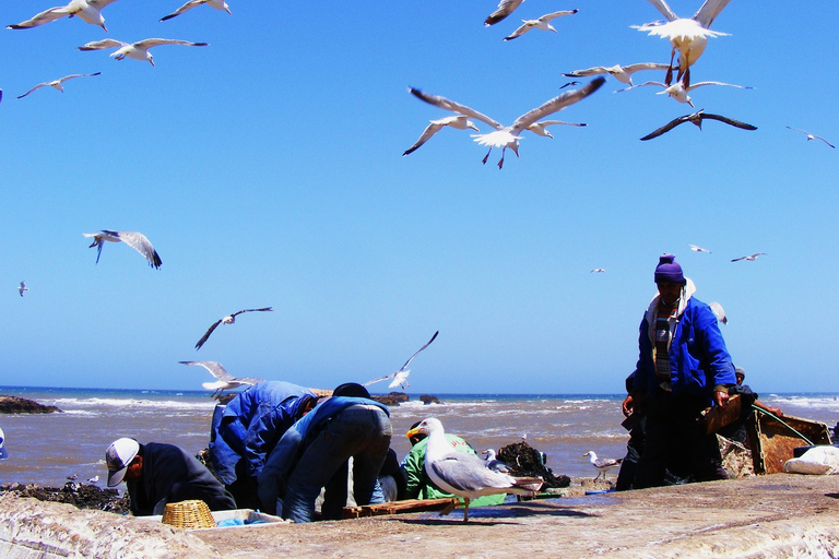 Essaouira Całodniowa wycieczka: z MarrakeszuJednodniowa wycieczka z Marrakeszu do Essaouiry