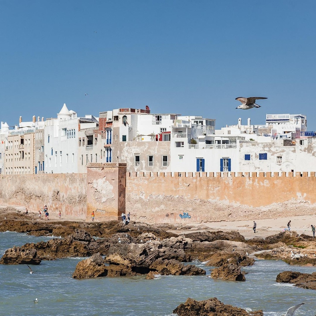 Excursion d'une journée à Essaouira : depuis Marrakech - excursion