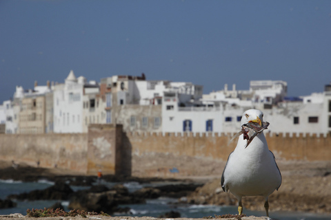 Essaouira Całodniowa wycieczka: z MarrakeszuJednodniowa wycieczka z Marrakeszu do Essaouiry