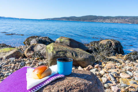 Drøbak: Guided walk along the coastal path and the forest Fjord and forest guided tours by the Oslofjord/Drøbak