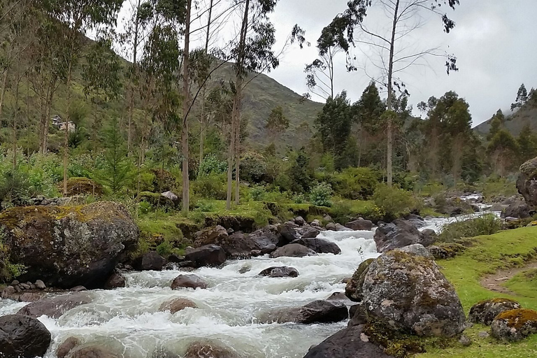 From Cusco: 4-Day Alternative Lares Trail to Machu PicchuLares Trek to Machu Picchu 4D 3N