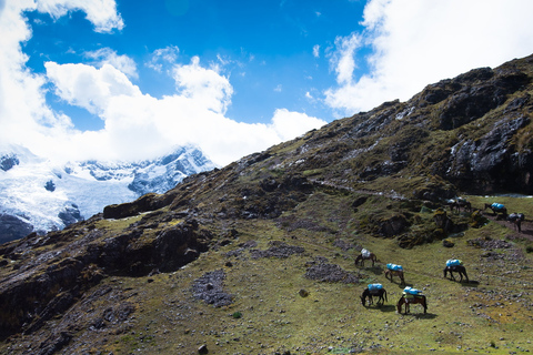 From Cusco: 4-Day Alternative Lares Trail to Machu PicchuLares Trek to Machu Picchu 4D 3N