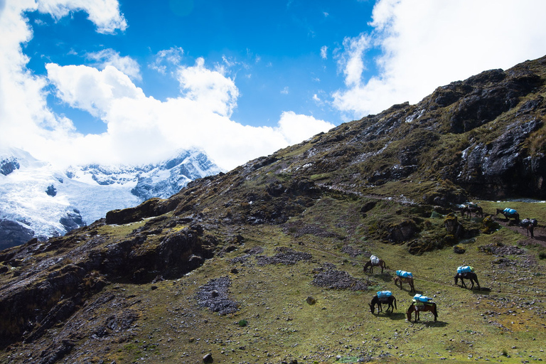 From Cusco: 4-Day Alternative Lares Trail to Machu PicchuLares Trek to Machu Picchu 4D 3N