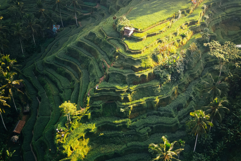 Bali: Lempuyang Tempel, Tirta Gangga en Ubud TourTour zonder Tirta Gangga waterpaleis