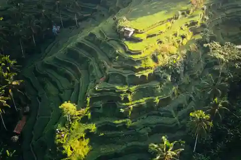 Bali : Rizières, cascades, eau bénite et danse barong
