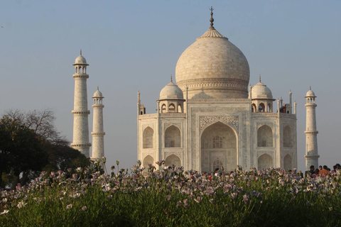 From Delhi: Private 5-Day Golden Triangle India Tour