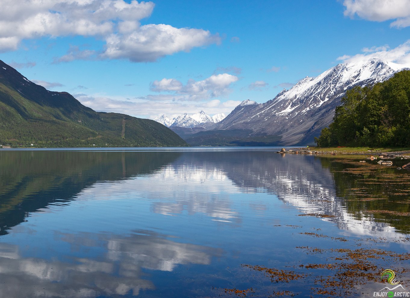 Fra Tromsø: Halvdagstur til de norske fjorde