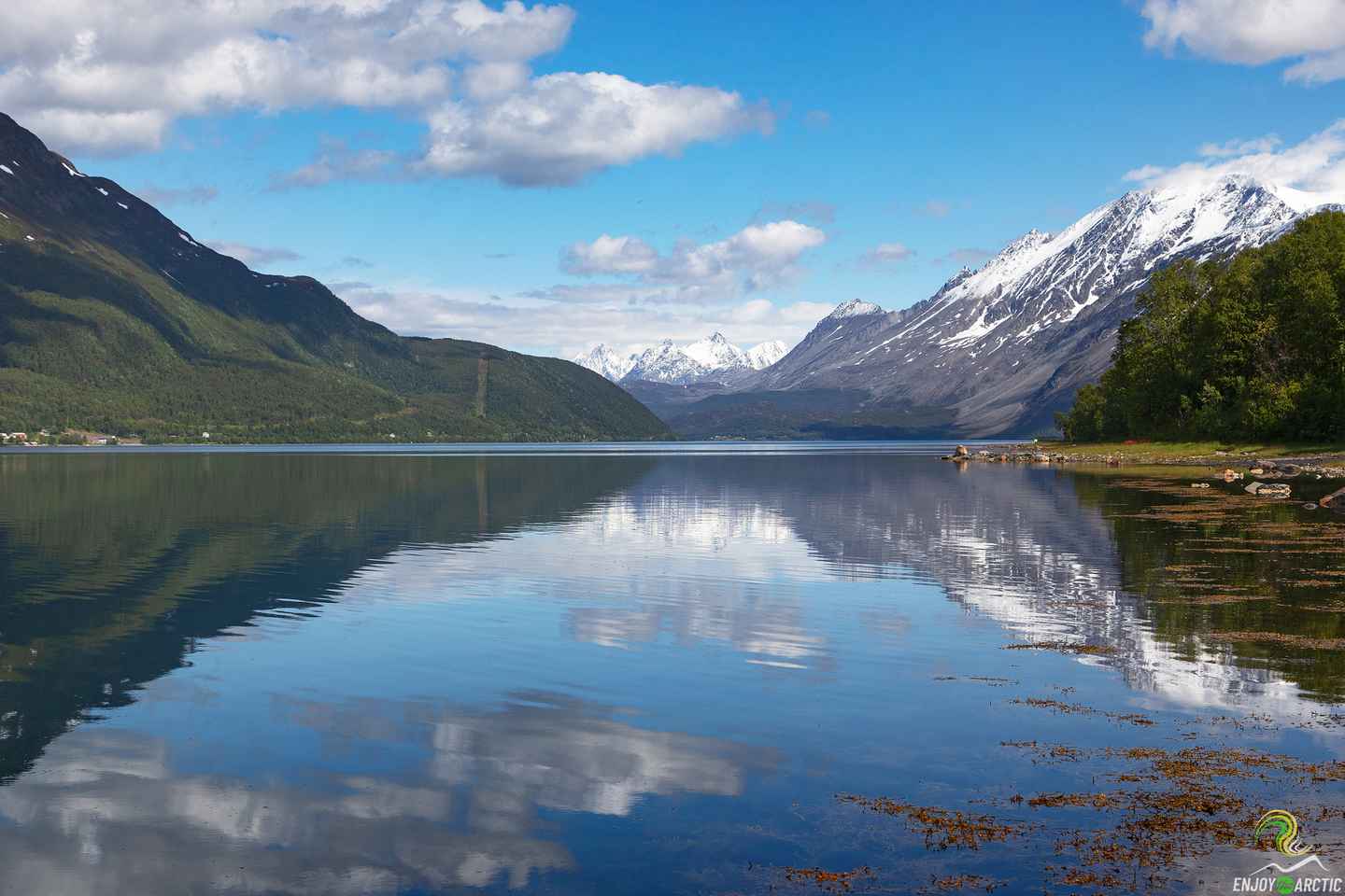 From Tromso: Norwegian Fjords Half-Day Tour