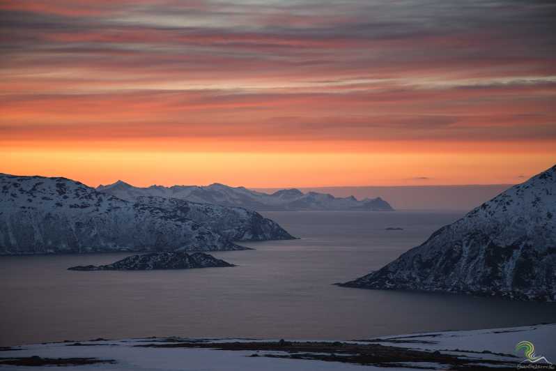 Fra Tromsø: Halvdagstur i Norske fjorder
