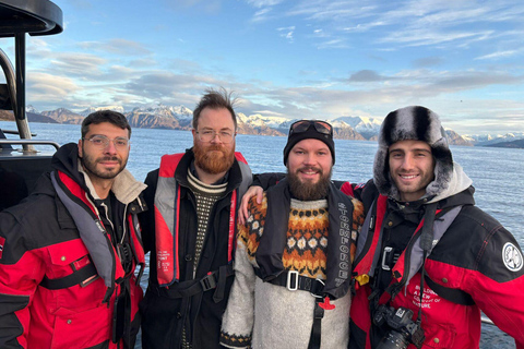 Tromsø: Orca and Whale Watching Heated Boat Trip Tromsø: Orca and Whale Watching comfort heated boat Trip