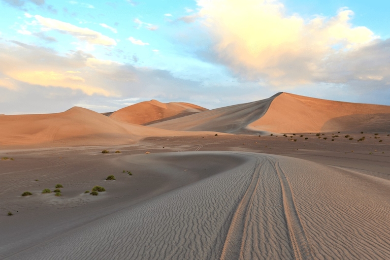 Safari dans le désert au coucher du soleil Dunes Bashing, Sand Board & Camel RideSafari dans le désert au coucher du soleil, Dunes de sable doré du Qatar et promenade à dos de chameau.