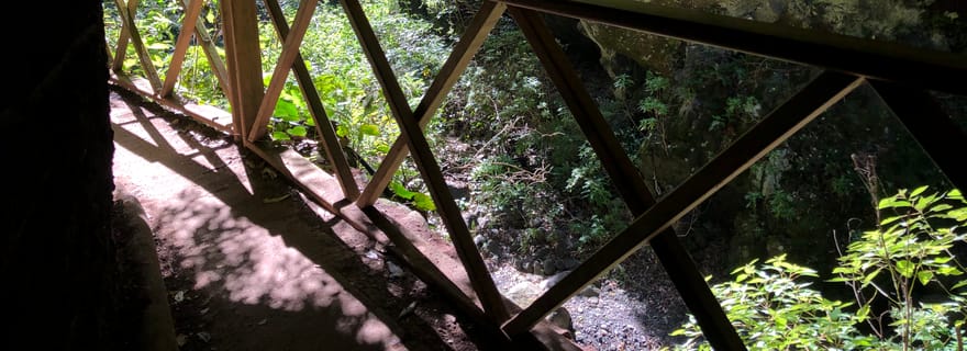 La Palma : visite en bus de l'île du Nord avec la distillerie Ron Aldea