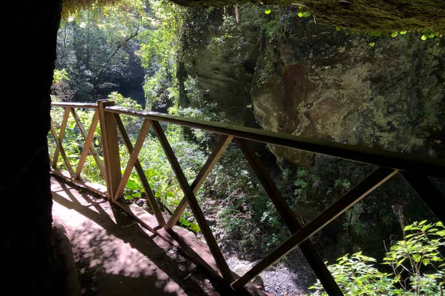 La Palma: Nordinsel-Bustour mit der Ron Aldea Distillery. Foto: GetYourGuide