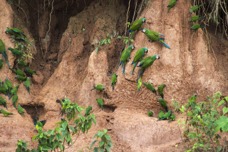 Excursão 3 dias/2 noites na selva