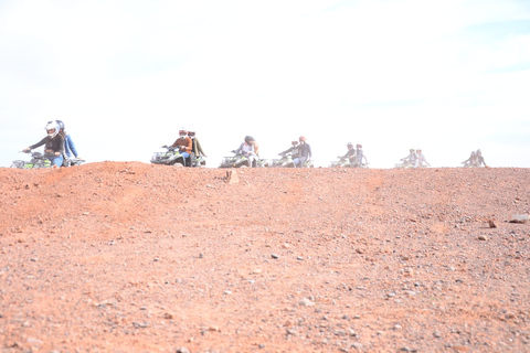 Desert of the palm grove of Marrakech: Discover in Quad