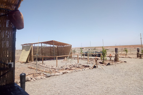 Deserto do palmeiral de Marrakech: Descubra em Quad