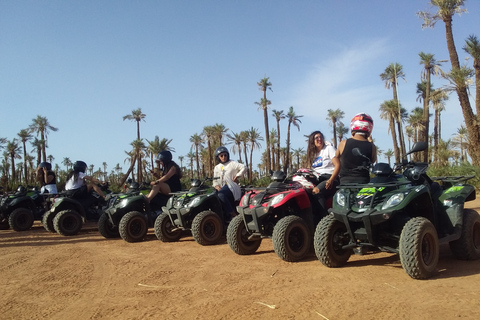 Deserto del palmeto di Marrakech: Scopri in Quad