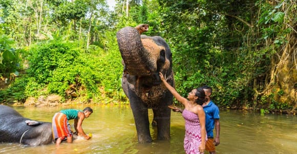 From Riu Hotel: Ambuluwawa Tower & Kandy Day trip with Lunch