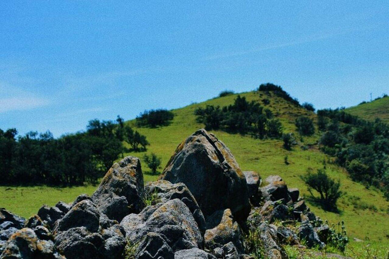 Full Day Private Ngong Hills Adventure from Nairobi