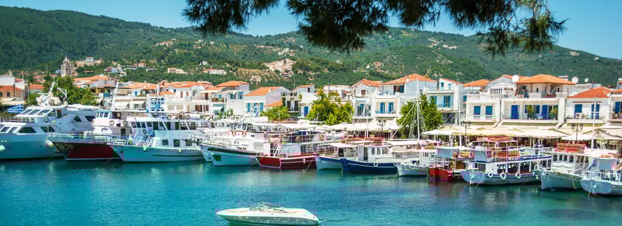 Depuis Katerini : Excursion d'une journée sur l'île de Skiathos avec baignade