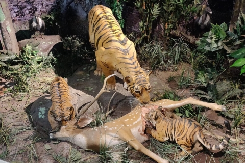 Van Jaipur: Ranthambore Tiger Safari Tour met de auto