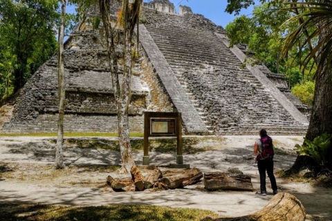 From Flores: Tikal National Park Private Tour