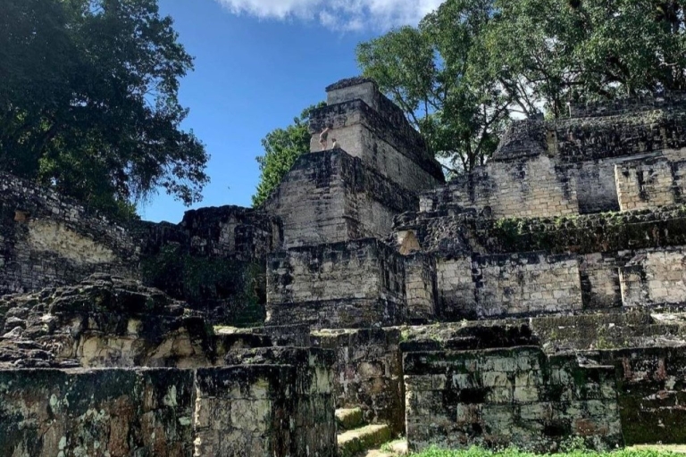 Von Flores aus: Tikal National Park Private Tour