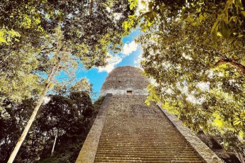 From Flores: Tikal National Park Private Day Trip with Lunch