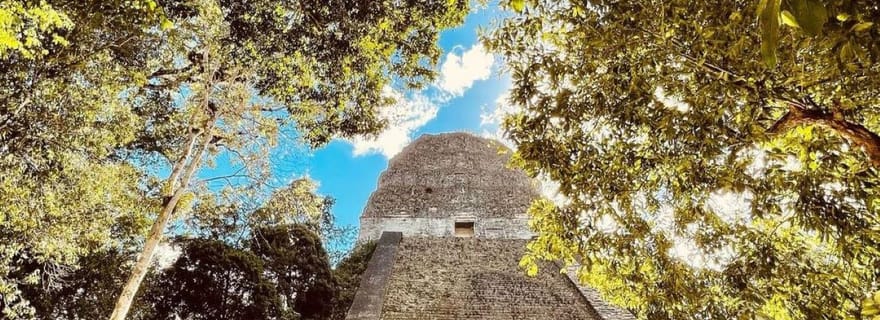Depuis Flores : Parc national de Tikal - Excursion privée d'une journée avec déjeuner