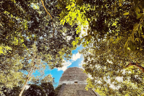 From Flores: Tikal National Park Private Tour