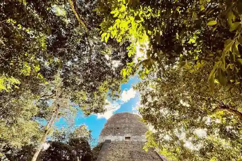 From Flores: Tikal National Park Private Day Trip with Lunch