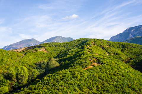 Tirana: Escursione di mezza giornata sul monte Dajti con biglietto della funiviaEscursione privata di mezza giornata