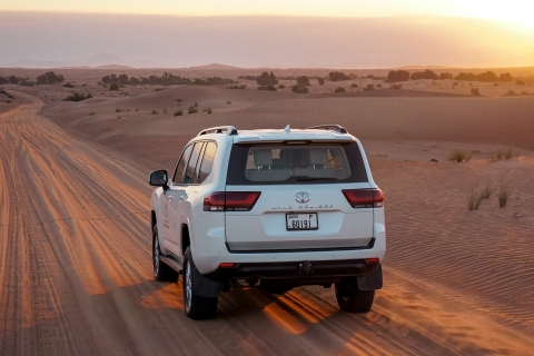 From Dubai: Morning Dune Drive From Dubai: Morning Desert Adventure (Winter) - Shared SUV