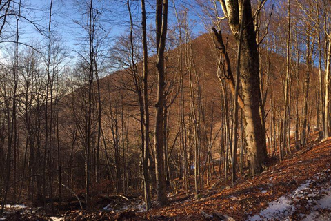 Visite quotidienne de la montagne Dajti