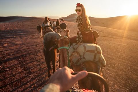 Marrakech: Desert Safari with Dinner, Shows, & Camel Ride