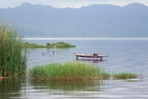 Adis Abeba: viagem de dia inteiro ao lago da cratera Wenchi com almoço