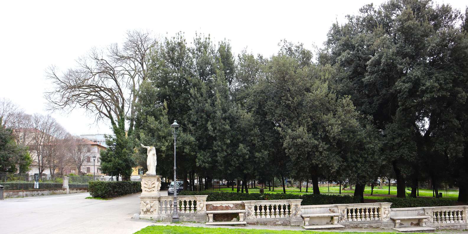 section