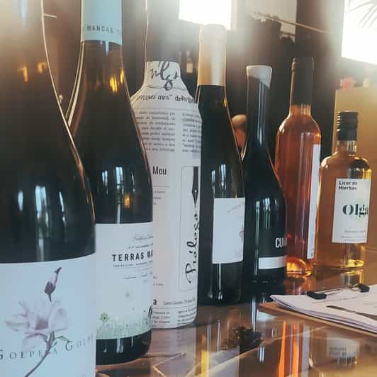 Galician wine tasting in A Coruña