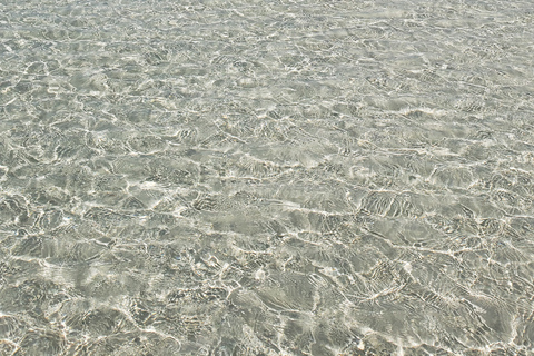 Mnemba Schnorcheln und Schwimmen mit Delfinen