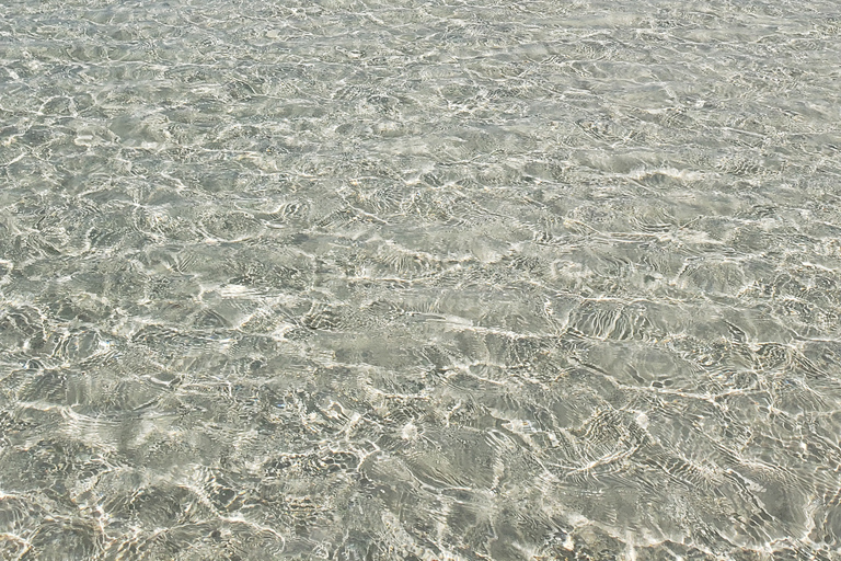 Mnemba Schnorcheln und Schwimmen mit Delfinen