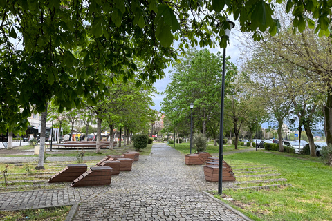 De Tirana: patrimoine de l'unesco de la ville de BeratDe Tirana : visite privée de la ville de Berat avec déjeuner