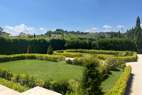 Florence: Pisa, Siena, & San Gimignano Day Trip with Lunch VIP SMALL GROUP
