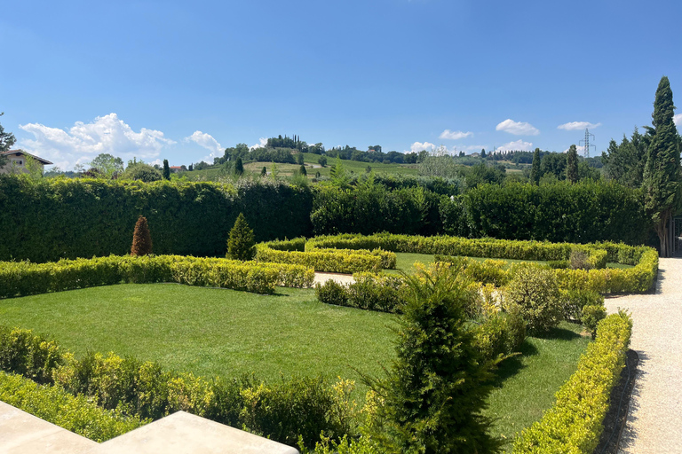 Florence: Pisa, Siena, & San Gimignano Day Trip with Lunch VIP SMALL GROUP