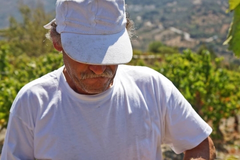 Rethymno: Explora los sabores de Creta