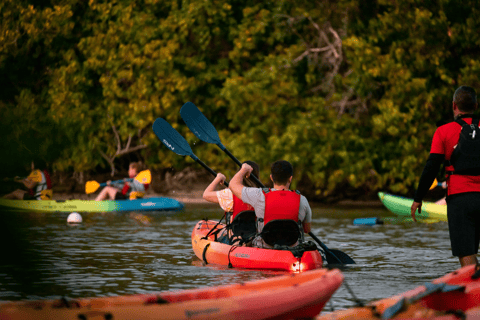 San Juan: El Yunque Rainforest en Bio Bay Combo Tour