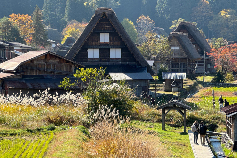 Gifu: Shirakawa-go Tour with a Private Guide 4-Hour Tour